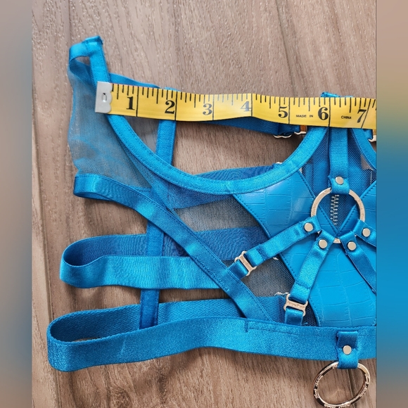 Honey Birdette 💋SET💋 Mistress T blue bra 34C/34D/S NWT - Picture 11 of 13